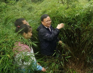 把論文寫在竹林里的“農民”教授